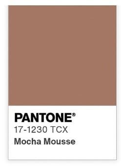 Couleur 2025 mocha mousse pantone
